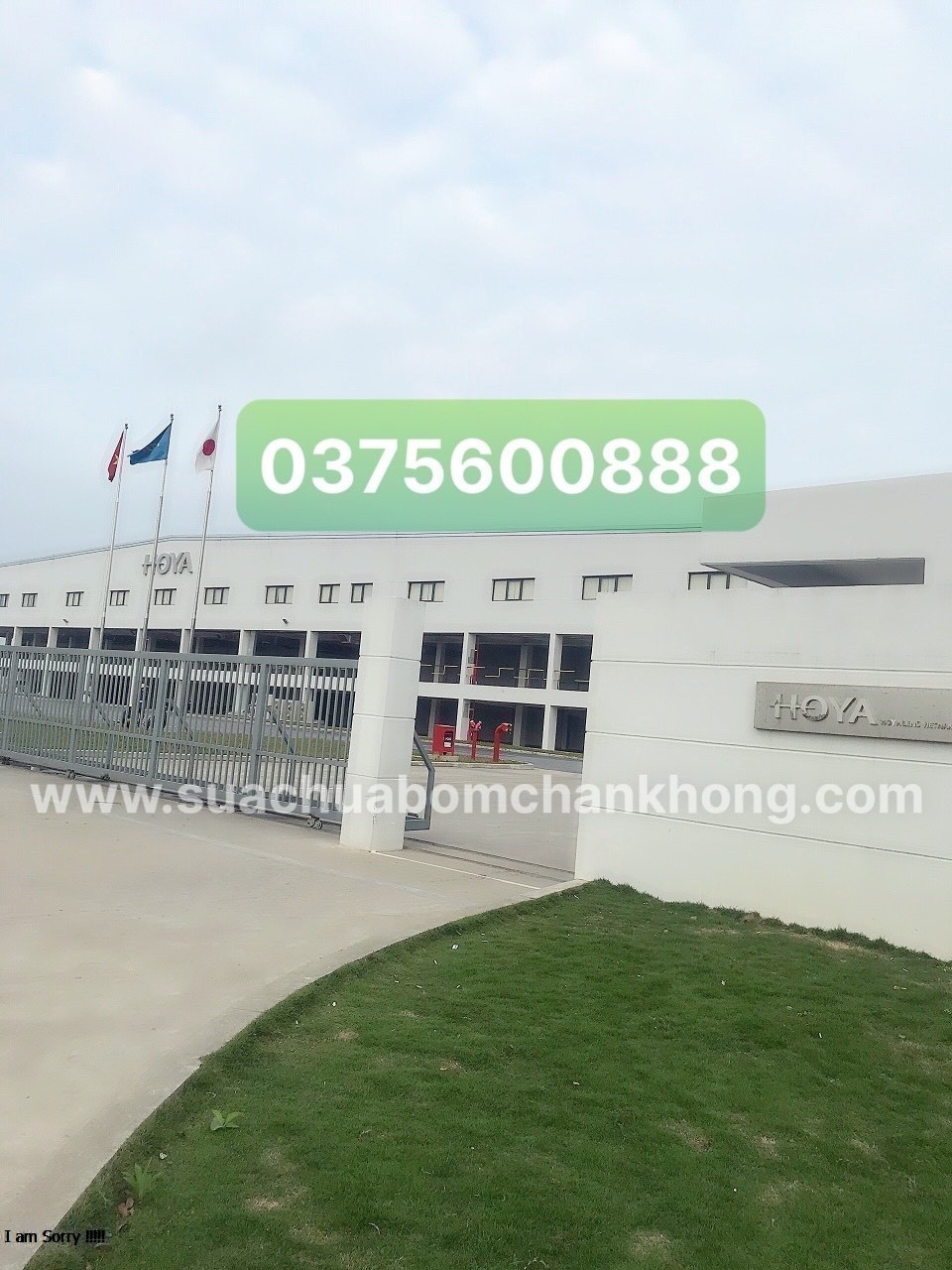 CÔNG TY HOYA len việt nam