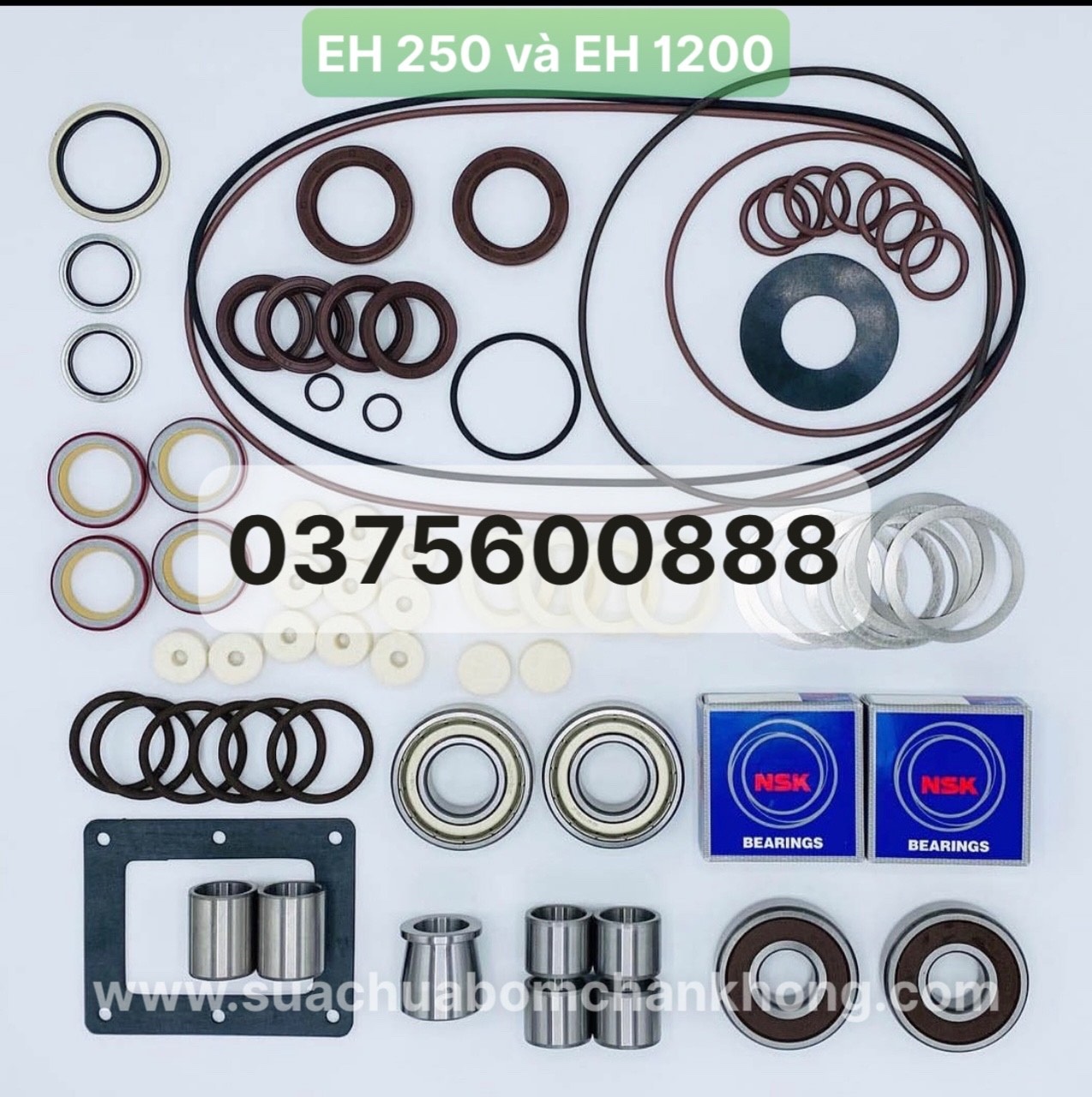 phụ kiện bơm tăng áp Edwards EH1200/250