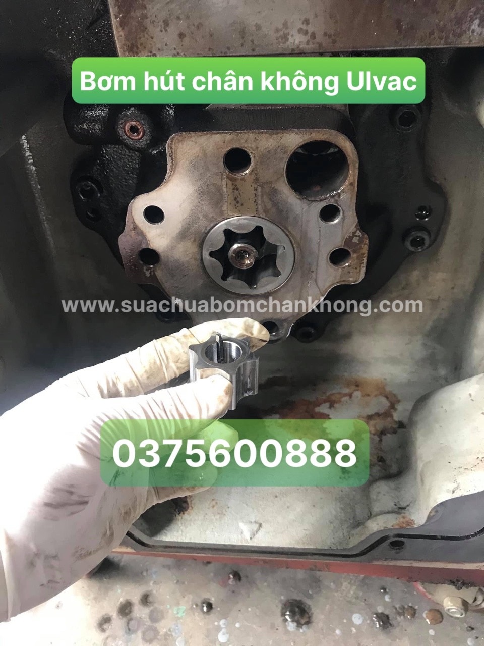 BƠM HÚT CHÂN KHÔNG ULVAC