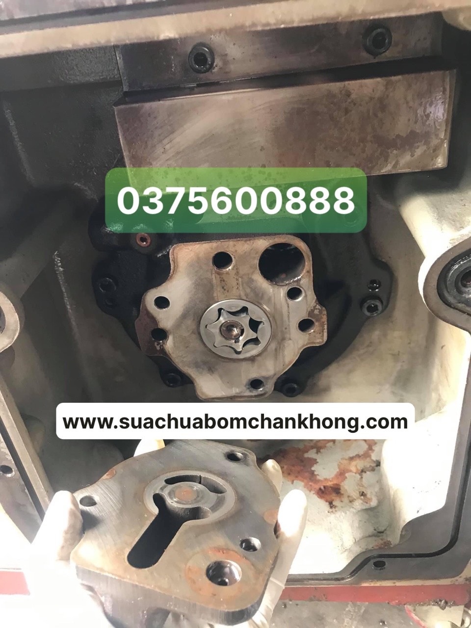 sửa bơm hút chân không vòng dầu ulvac sv2401